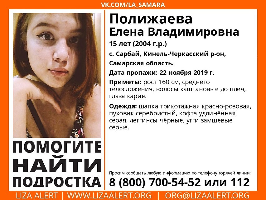 Фото: ДПСО "Лиза Алерт"