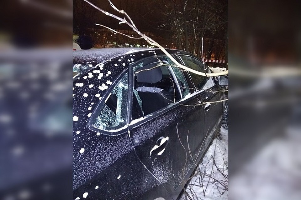 Мужчина пытался спрятаться от злоумышленника в машине. Вото из личного архива героя публикации
