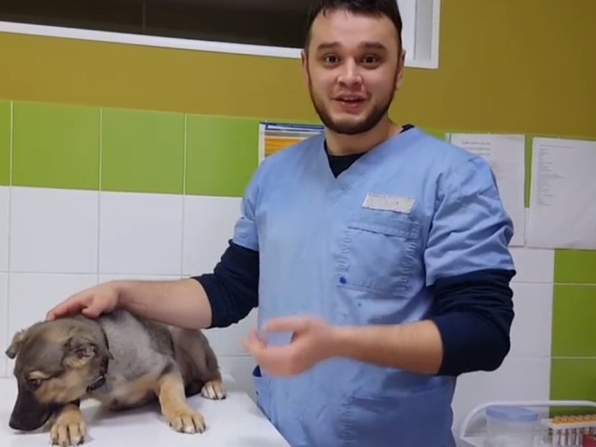 Новыми хозяевами щенка стали ветеринары. Фото: кадр с видео