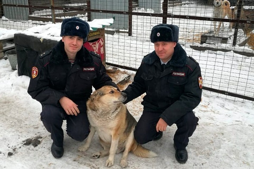 Кузбасские гвардейцы привезли Деду 50 килограммов еды. ФОТО: пресс-служба УФССП России по Кемеровской области.