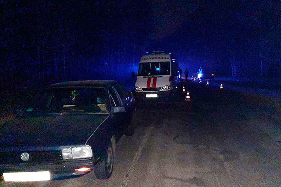 Под Жлобином пешехода дважды переехала машина. Фото: МВД РБ.