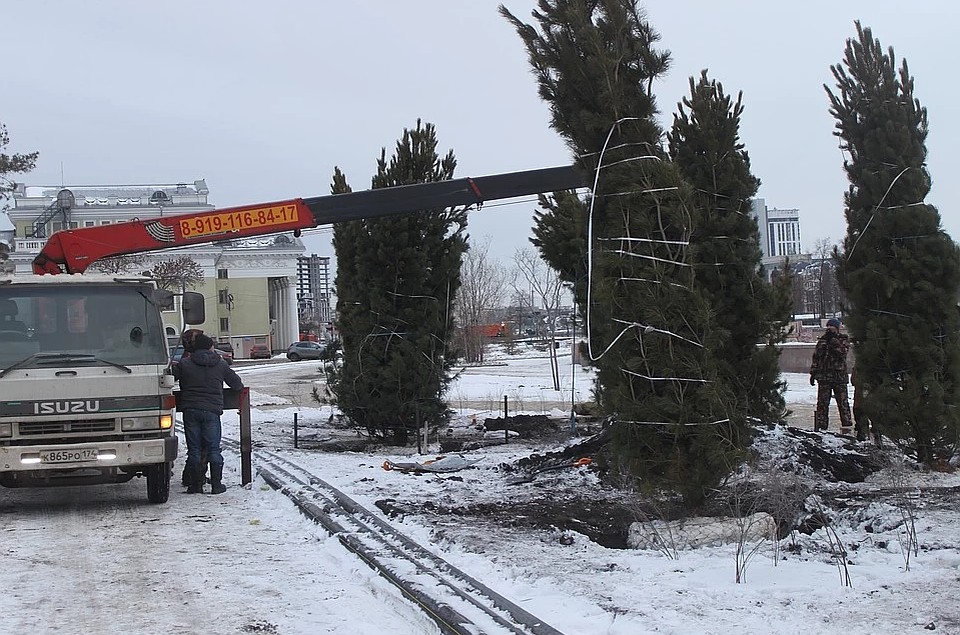 У органного зала продолжат высаживать взрослые деревья. Фото: Марина Фролова