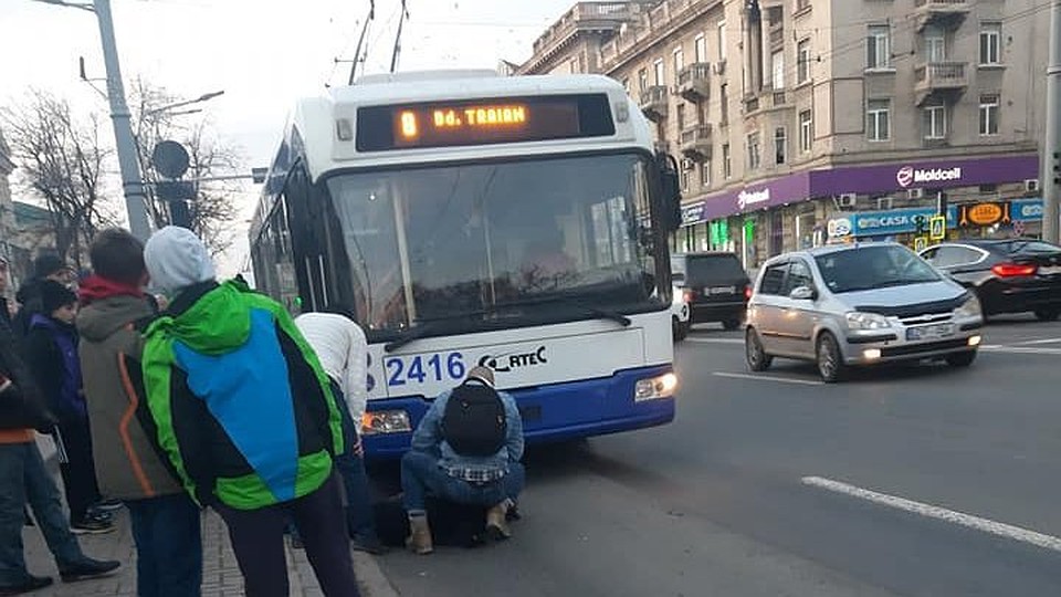 Меньше пить надо: в Кишиневе пьяный мужчина упал прямо перед троллейбусом