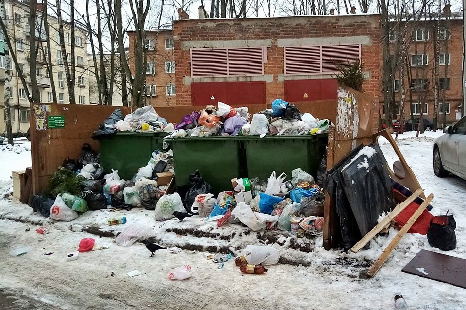 Мира,51