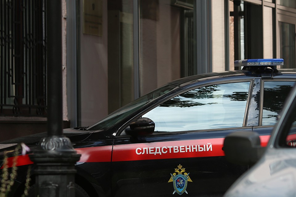 Продали лес на 9 миллионов рублей: на министерство лесного комплекса Иркутской области возбуждено уголовное дело
