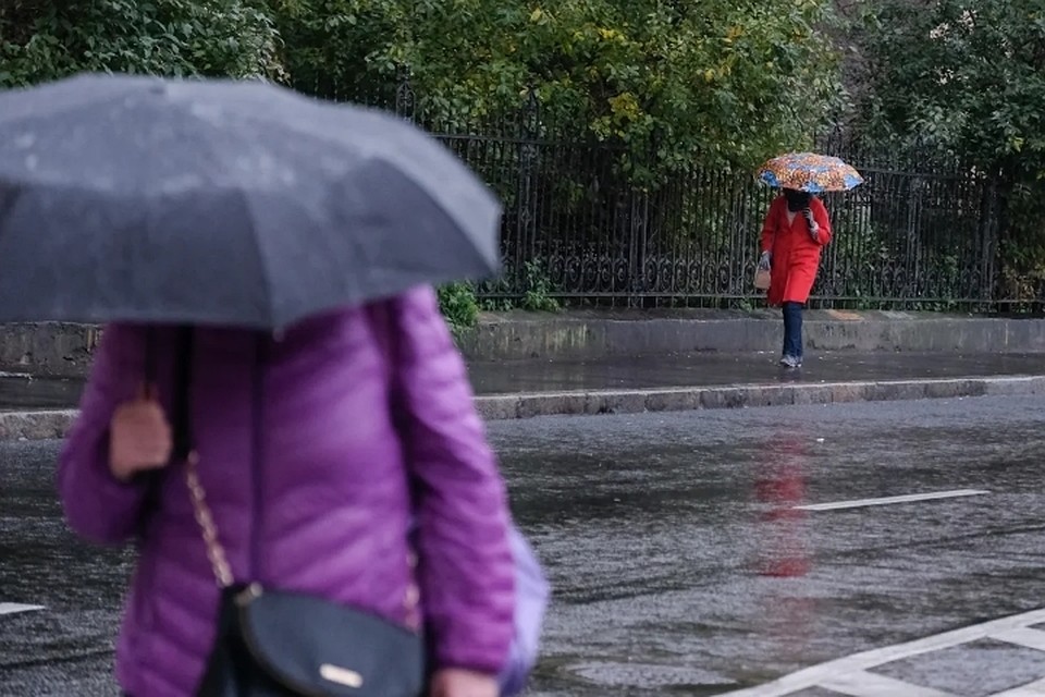 Спасатели МЧС советуют петербуржцам быть осторожными в сильно ветреный день 15 января.