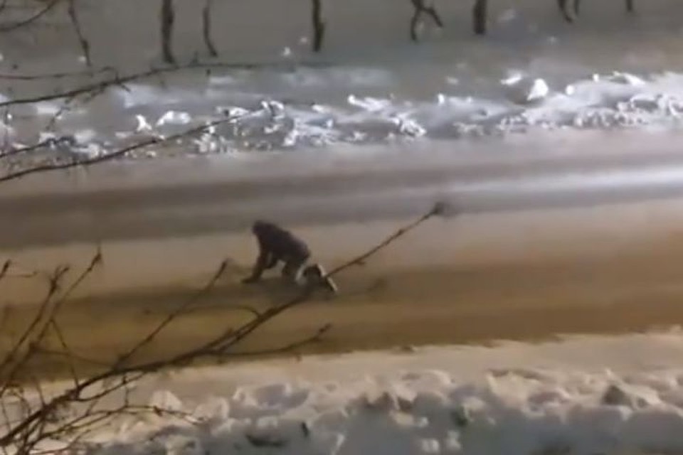 В Новосибирске мужчина полз по дороге и громко плакал