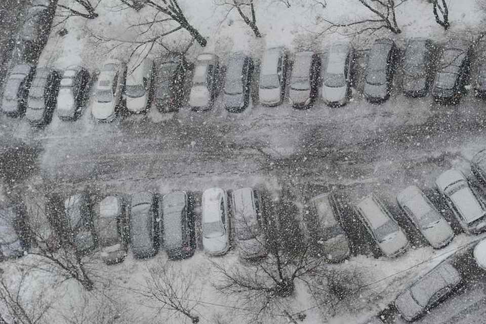Девушка и мужчина чуть не подрались из-за парковочного крамана.