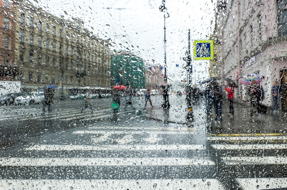 19 января 2020 года в Петербурге будет тепло и дождливо.