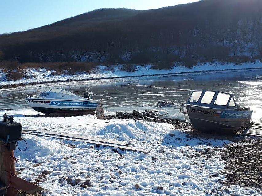 Водолаз занимался незаконной добычей биоресурсов. Источник фото: Дальневосточный морской заповедника