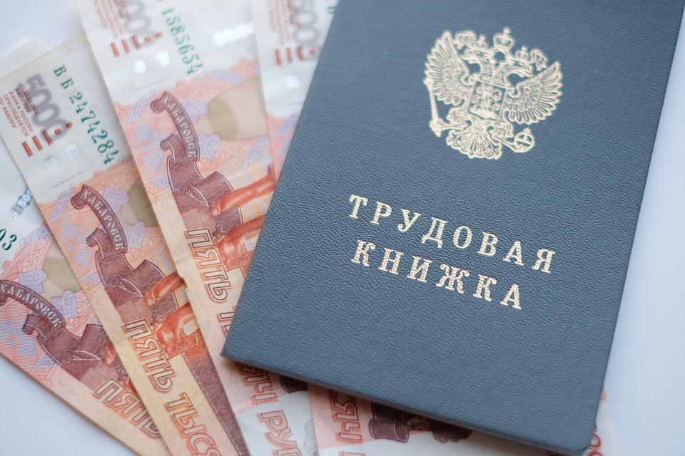 Названы самые высокооплачиваемые вакансии января в Петербурге