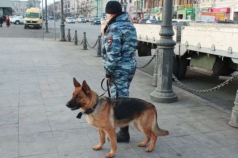 Ни в одном из 19 «заминированных» детских садов бомбы найдены не были