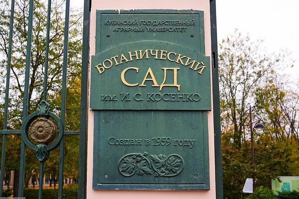 Фото: администрация Краснодара
