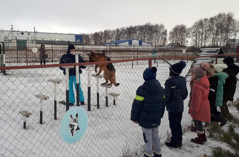 Фото пресс-службы МЧС России по Белгородской области.