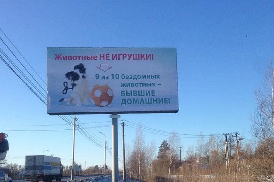В Хабаровске впервые появилась социальная реклама о гуманном обращении с животными ФОТО: «Зоозащита ДВ»