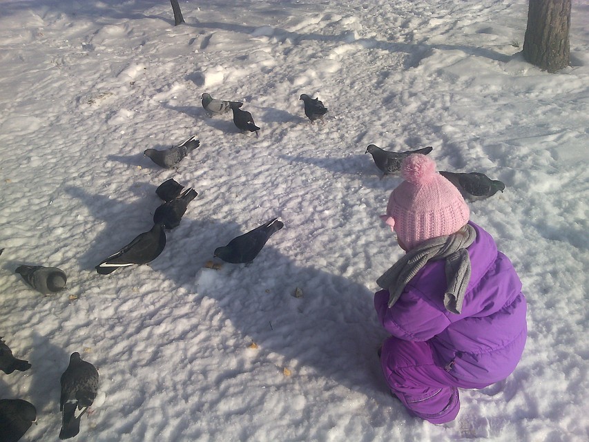 Чаще всего, родители выбирают для детей программы эстетической направленности и спортивные секции
