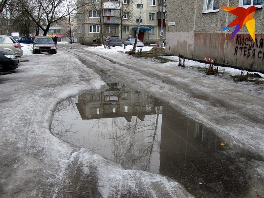 В Курске авто на газонах паркуют практически в каждом дворе