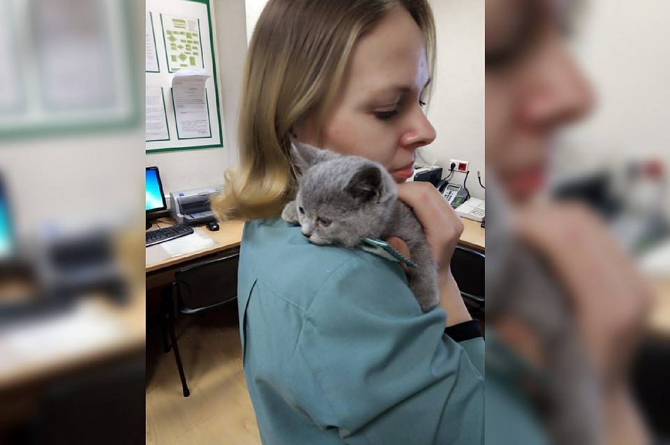 Котенка назвали Ненси. Фото: Уральское таможенное управление