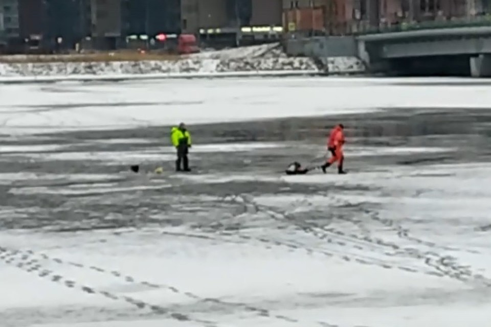 Увести рыбака со льда удалось, лишь забрав у него удочку и санки. Фото: ДТП и ЧП | Санкт-Петербург | Питер Онлайн | СПб