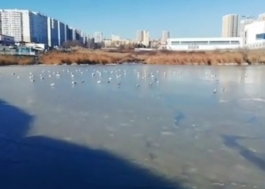 Если попробовать лед из воды из соленого водоема, вряд ли он будет содержать в себе вкус соли. Фото: соцсети.