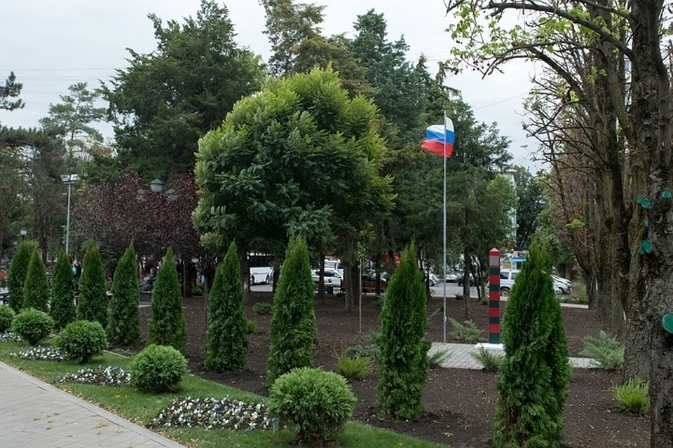 Фото: администрация Краснодара