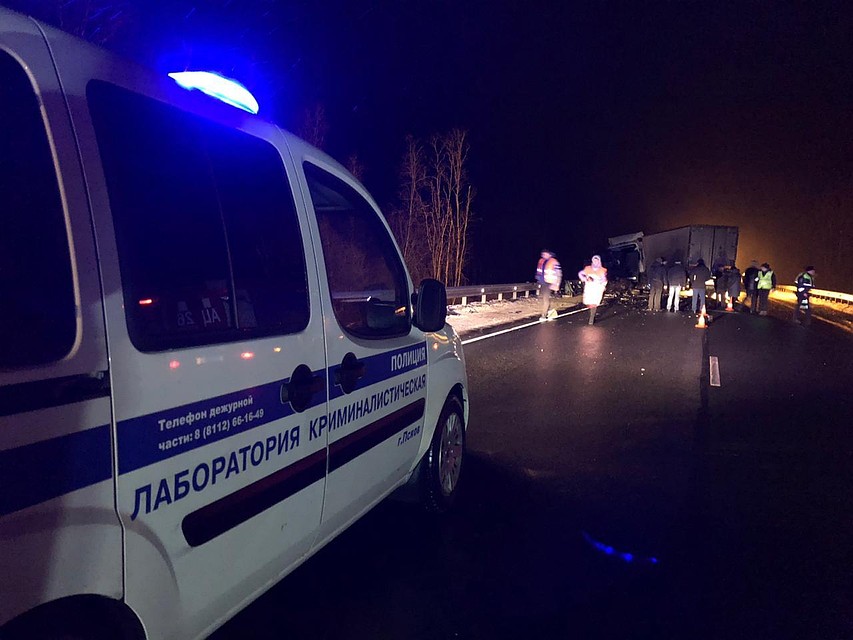 Фото: пресс-служба УМВД России по Псковской области.