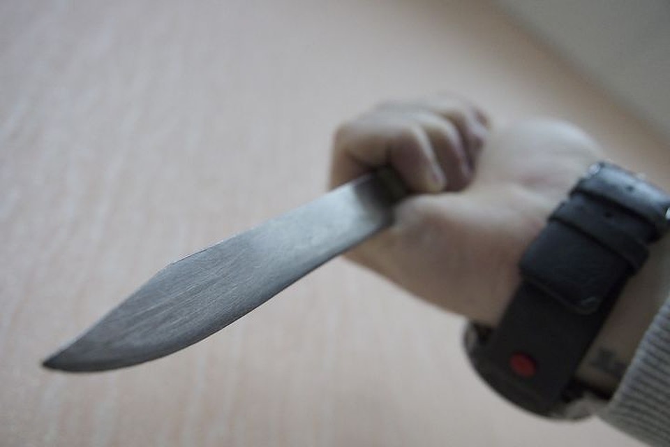 Житель Тульской области пытался "прикрыть" порезавшую его подругу