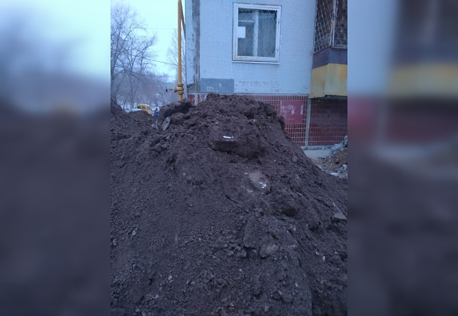 Фото: Светлана Шмелева / ТОЛЬЯТТИ