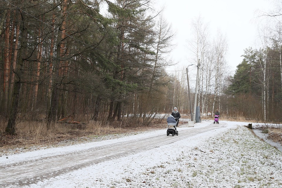 Парк Александрино ждет реконструкция. Фото: gov.spb.ru