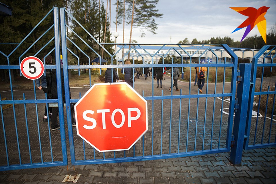 В "Загорье" китайские студенты, которые вернулись из КНР, проведут две недели.