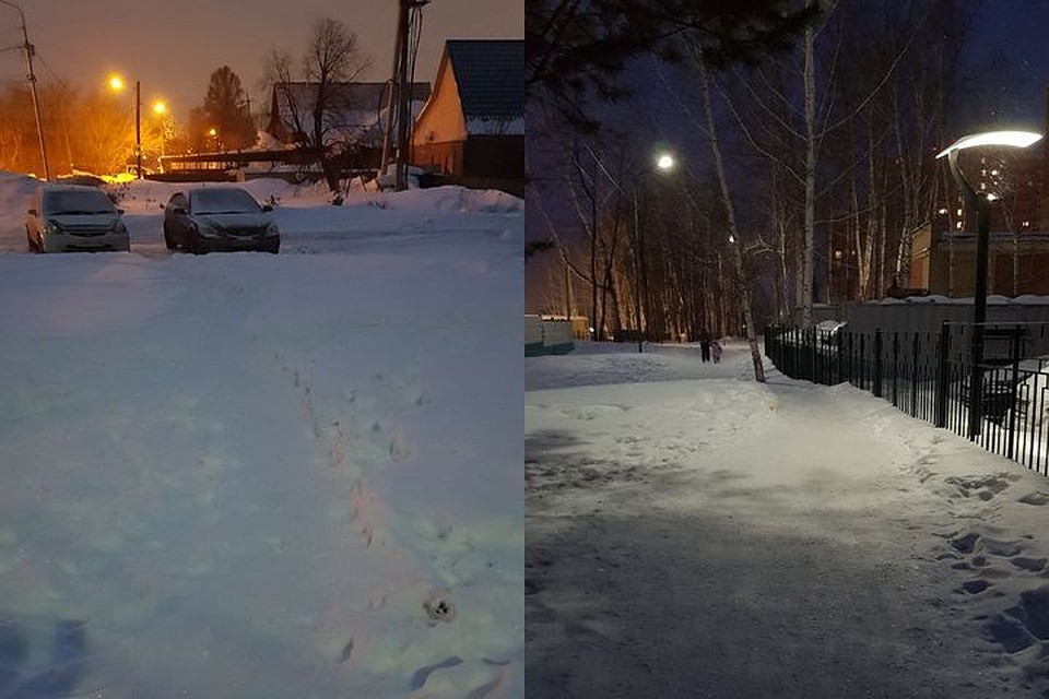 Новосибирцы жалуются на тротуар до школы по улице Лобачевского, по которому невозможно пройти. Фото: "Гражданский патруль"