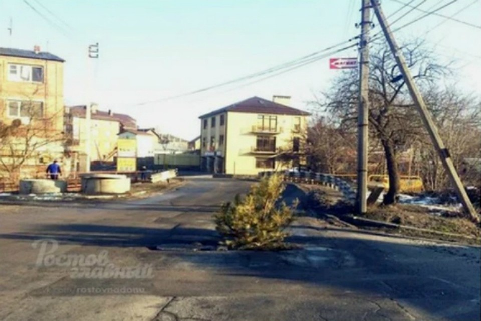 В Ростове яму на дороге заткнули елкой. Фото: "Ростов Главный"