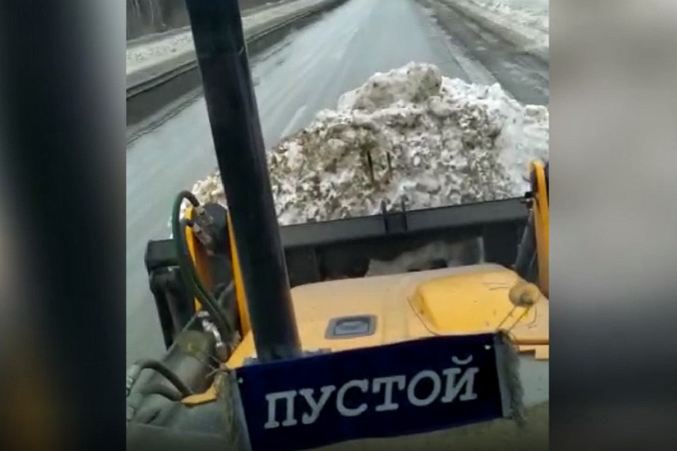 Фото: скриншот с видео