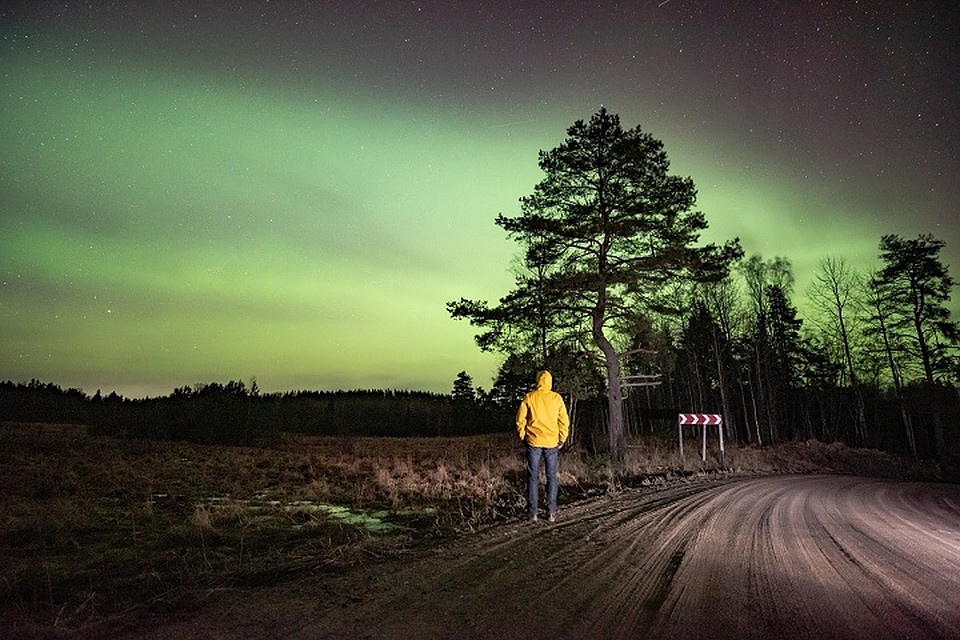Северное сияние сняли на границе Ленобласти и Карелии. Фото: vk.com/aurora812 / Александр Спиридонов