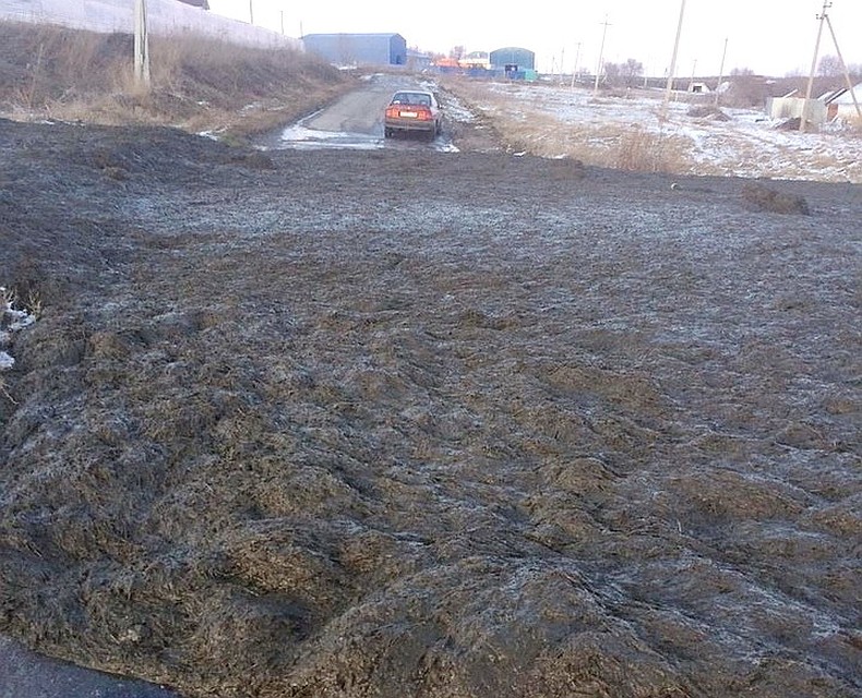 фото Влад Тихонов.