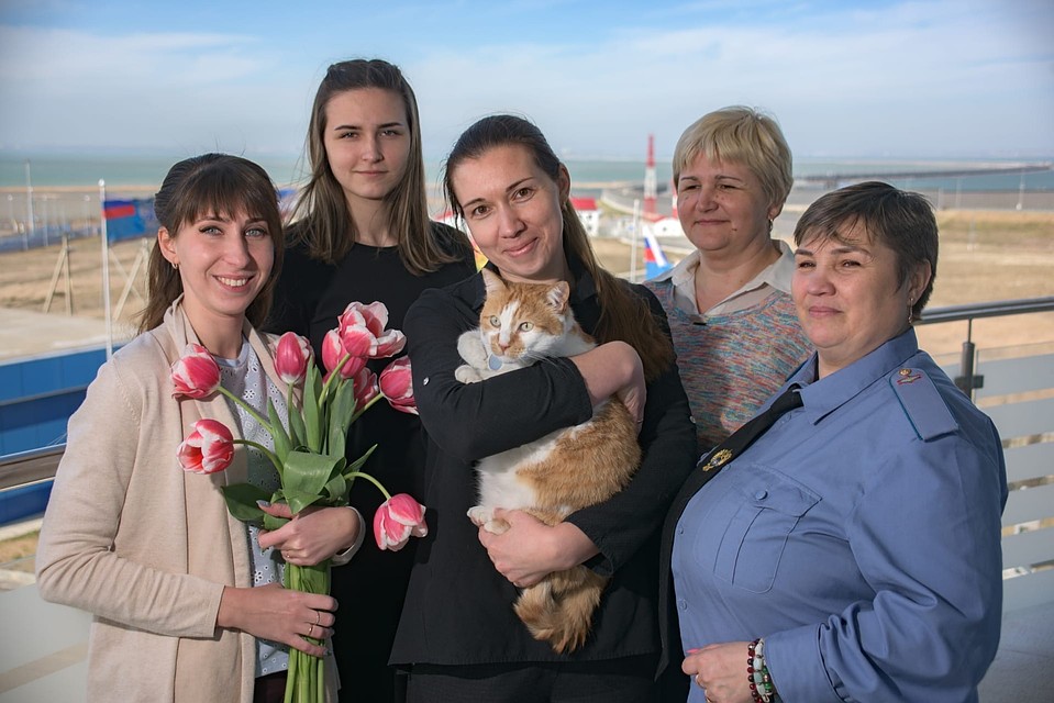 С праздником, любимые женщины! Фото: кот Моста/VK