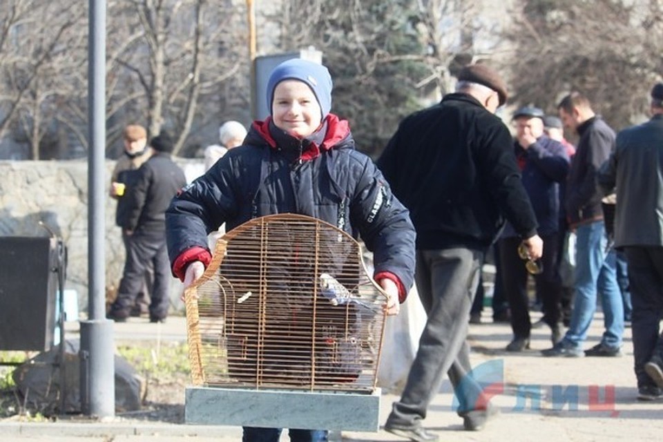 Посмотреть птиц пришли сотни луганчан с детьми. Фото: Луганский информационный центр