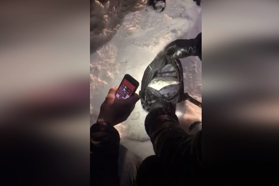 Фото: пресс-служба ГУ МВД по Нижегородской области