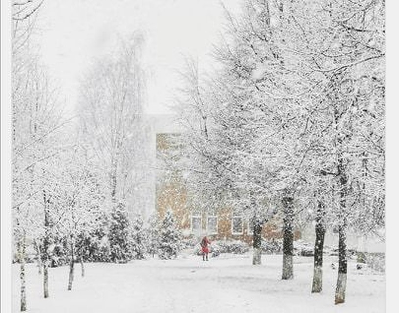 В Гродно утром выпал снег. А вскоре пройдет и по всей стране.Фото: соцсети.