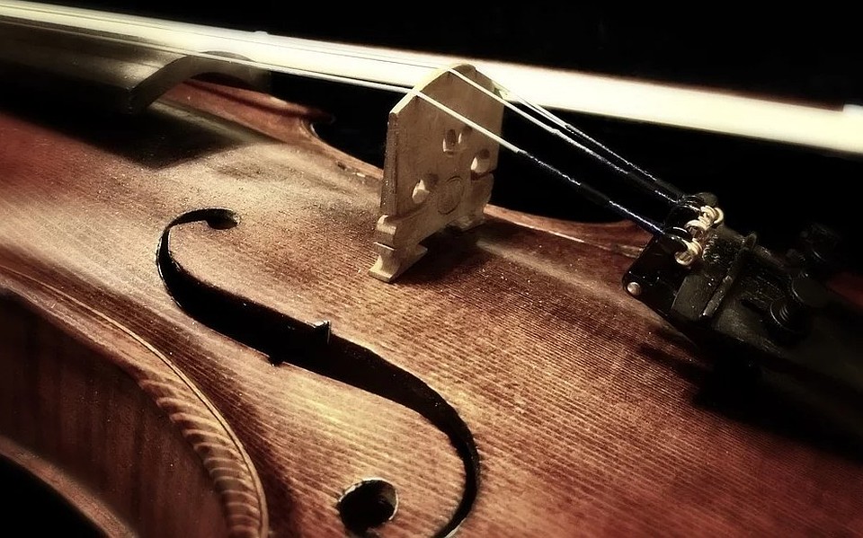 Фото: pixabay.com