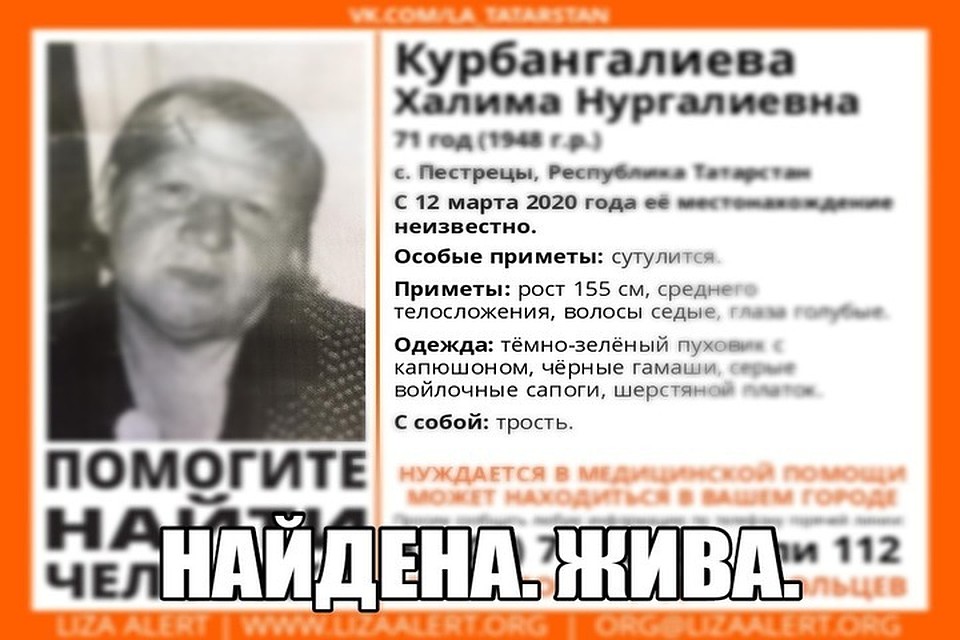 Фото: ПСО "Лиза Алерт"