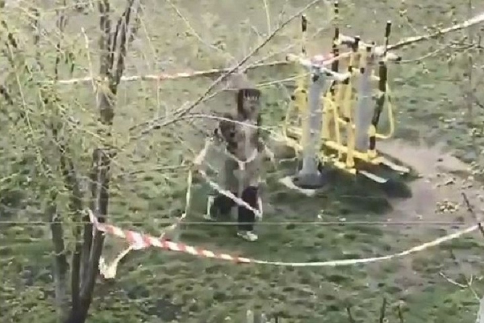 Девушку ждет крупный штраф (Фото: скрин с видео).