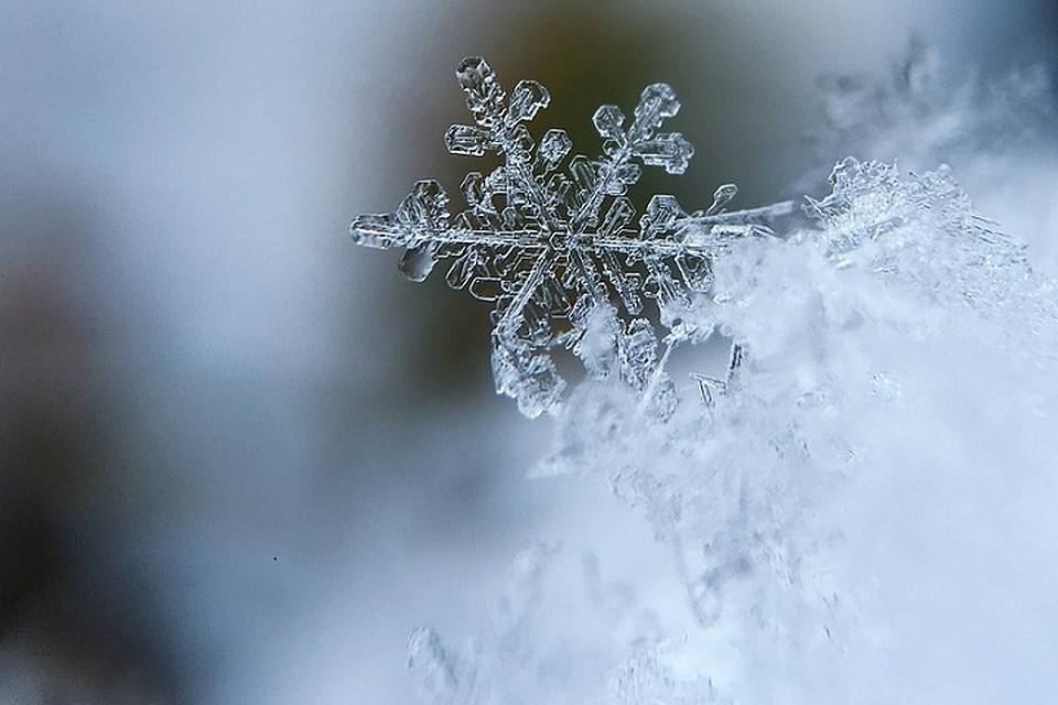 Погода на Ямале 26 марта: во всех районах пройдет снег Фото: pixabay.com