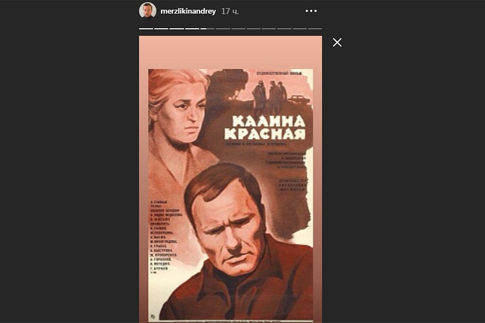 Андрей Мерзликин сделал подборку афиш фильма