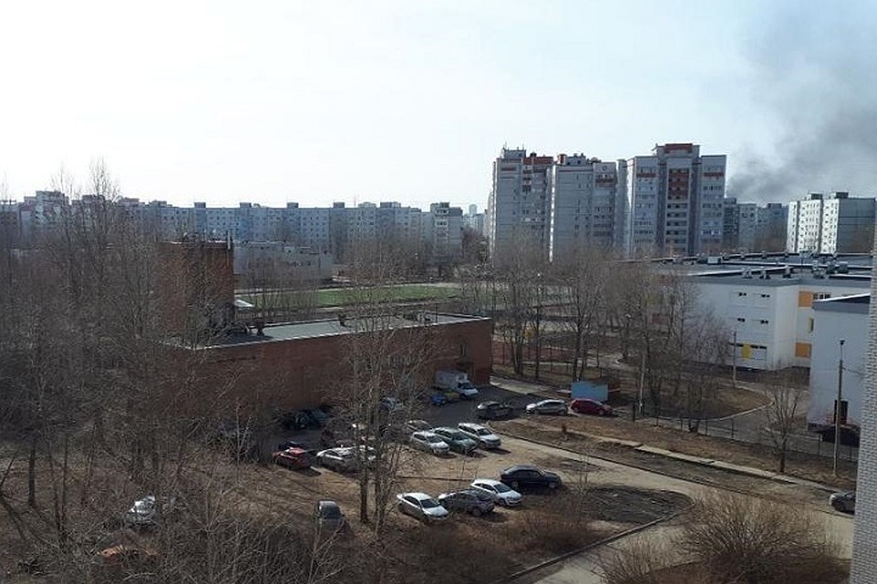 Фото: соцсети