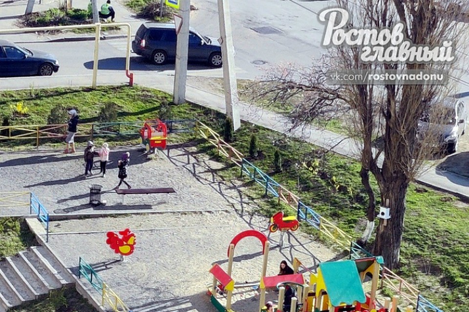 В Ростове мамочки продолжают гулять с детьми. Фото: соцсети