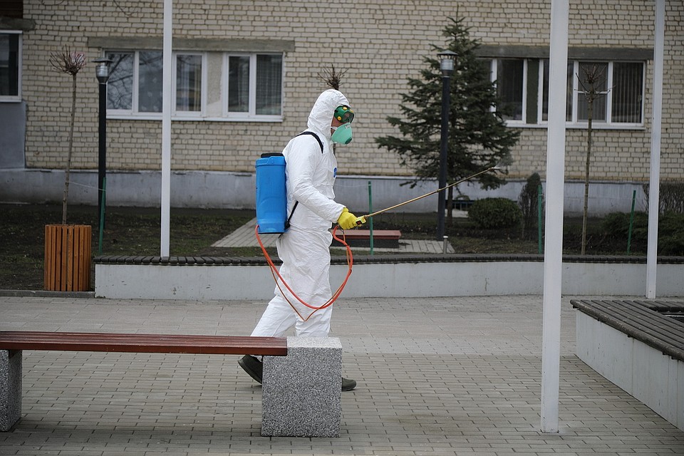 В обработке применяют раствор на основе хлора, работу проводят как вручную, так и с помощью спецтранспорта, который распыляет раствор на наиболее масштабные поверхности