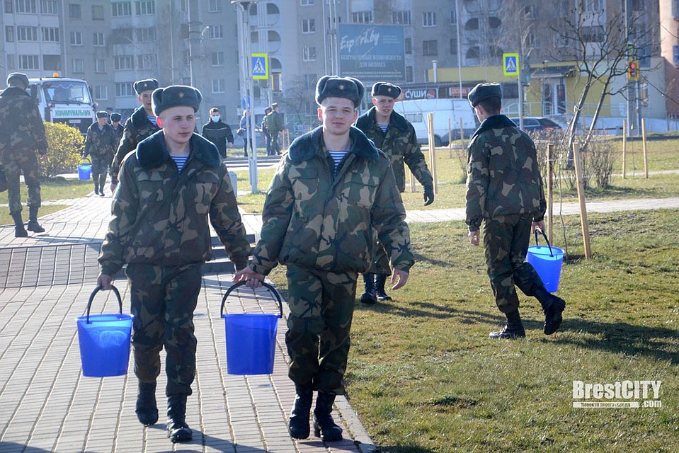 Солдат привлекли к городской акции «Полей дерево». Фото: brestcity.com