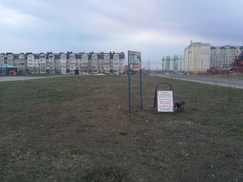 На пустыре пока только несколько саженцев и плакат. Фото Юрия Сотникова