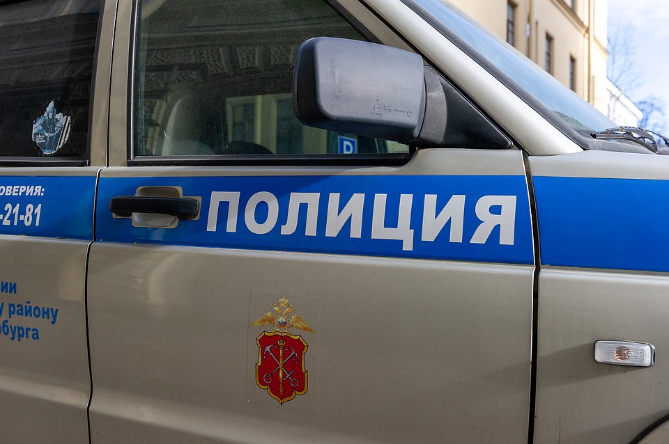 В Сертолово пенсионерка с собакой спасла раненного таксиста